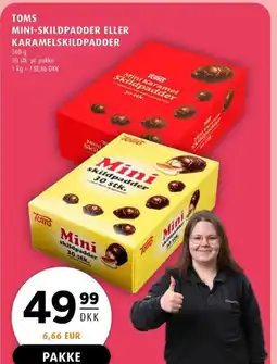 Scandinavian Park Toms mini-skildpadder eller karamelskildpadder erbjuda