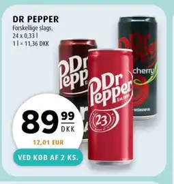 Scandinavian Park Dr pepper erbjuda