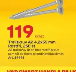 Byggmax Trallskruv A2 4,2x55 mm Rostfri, 250 st erbjuda
