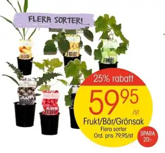 Frukt/Bär/Grönsak