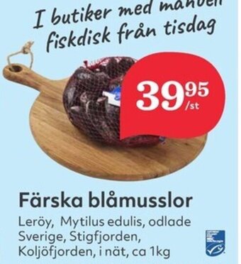 Hemköp Färska blåmusslor erbjuda