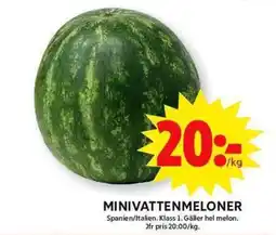 ICA Maxi Minivattenmeloner erbjuda
