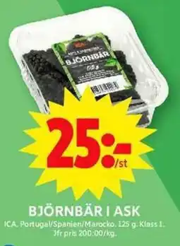 ICA Maxi ICA Björnbär i ask erbjuda