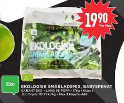Willys GARANT Eko ekologisk småbladsmix, babyspenat erbjuda