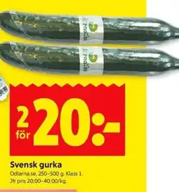 ICA Kvantum Svensk gurka erbjuda