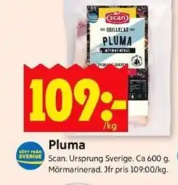 ICA Kvantum SCAN Pluma erbjuda
