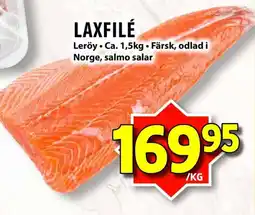 Matvärlden Tensta Laxfilé erbjuda
