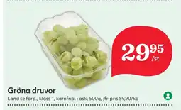 Gröna druvor