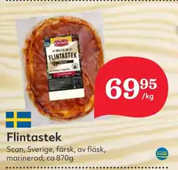 SCAN Flintastek