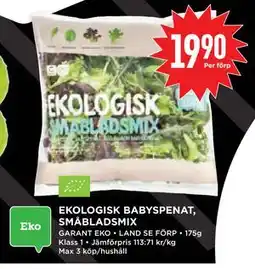 Willys Hemma EKOLOGISK BABYSPENAT, SMÅBLADSMIX erbjuda
