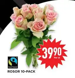 Willys Hemma ROSOR 10-PACK erbjuda