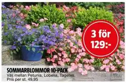 Bauhaus SOMMARBLOMMOR 10-PACK erbjuda