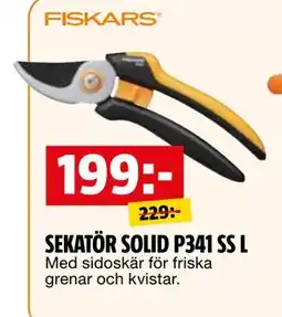 Bauhaus SEKATÖR SOLID P341 SS L erbjuda