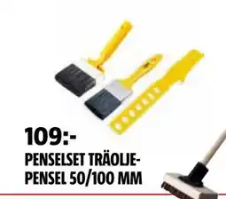 Bauhaus PENSELSET TRÄOLJEPENSEL 50/100 MM erbjuda
