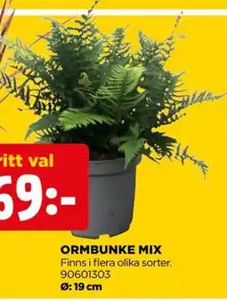 Jem&Fix ORMBUNKE MIX erbjuda