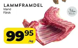 Lammframdel