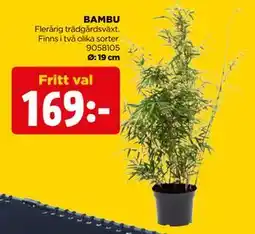 Jem&Fix BAMBU erbjuda