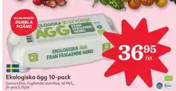 Hemköp Ekologiska ägg 10-pack erbjuda