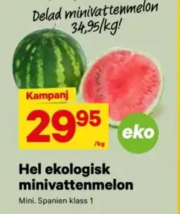 City Gross Hel ekologisk minivattenmelon erbjuda