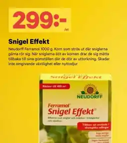 City Gross Snigel effekt erbjuda