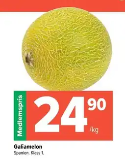 Galiamelon
