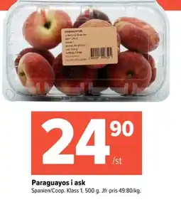 Coop Extra Paraguayos i ask erbjuda