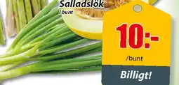 Salladslök