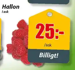 Hallon