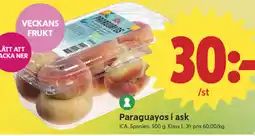 ICA Nära ICA Paraguayos i ask erbjuda