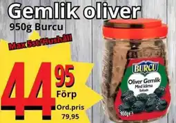 Supergrossen BURCU Gemlik oliver erbjuda