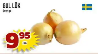 Din Mat Gul lök erbjuda