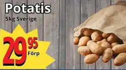 Potatis