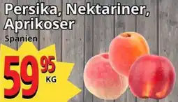 Supergrossen Persika, Nektariner, Aprikoser erbjuda