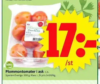 Plommontomater i ask 500g