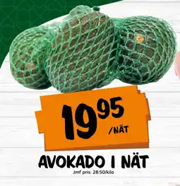 Avokado i nät