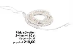 Selfmade Pärla sötvatten 2-4mm vit 80 st erbjuda