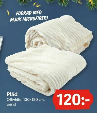 DollarStore Pläd erbjuda