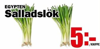 Matdax Salladslök erbjuda