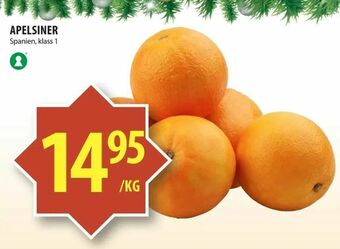 Matvärlden Tensta Apelsiner erbjuda