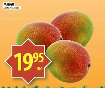 Matvärlden Tensta Mango erbjuda