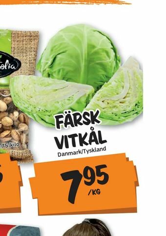 Bazaar Food market Färsk vitkål erbjuda