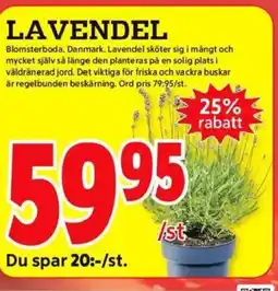 ICA Kvantum Lavendel erbjuda