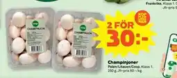 Stora Coop Champinjoner erbjuda
