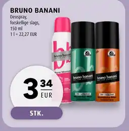 Scandinavian Park Bruno banani erbjuda