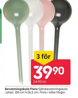 Bevattningskula Flora