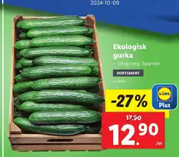 Lidl Ekologisk gurka erbjuda