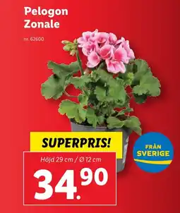 Lidl Pelogon Zonale erbjuda