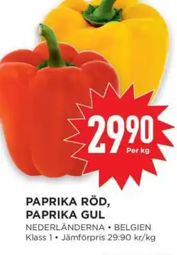 Willys Paprika Röd, Paprika Gul erbjuda