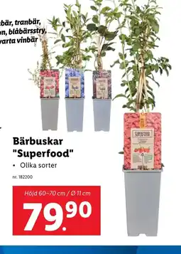 Lidl Bärbuskar "Superfood" erbjuda