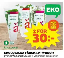 Coop Ekologiska färska kryddor erbjuda
